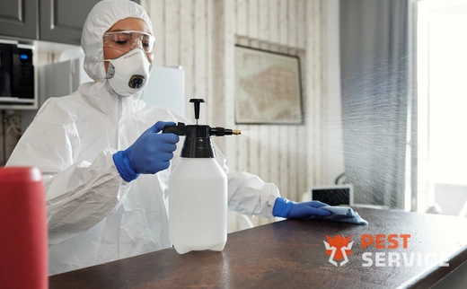 Дезинфекция в Зиме