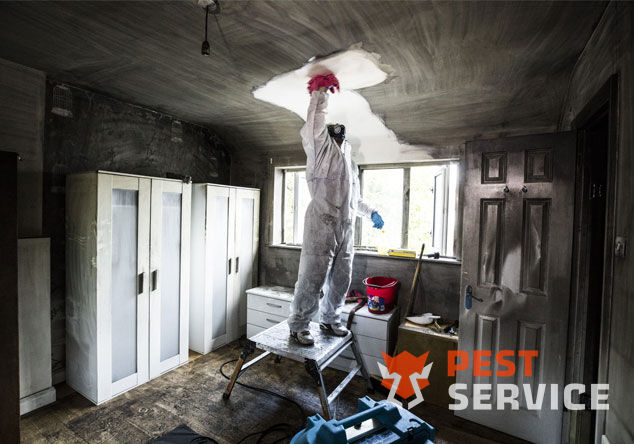 Профессиональная уборка помещений после пожара в Зиме от 2500 руб: удаление сажи, копоти и запаха гари, глубокая очистка поверхностей и восстановление чистоты. Быстро, безопасно и эффективно.