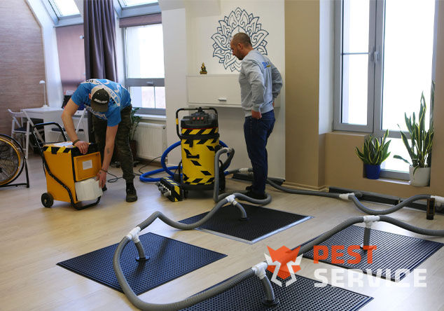 Профессиональная сушка после потопа в Зиме от 3000 руб. Быстро устраняем влагу, предотвращаем плесень и повреждения. Современное оборудование и опытные специалисты. Безопасно и эффективно.